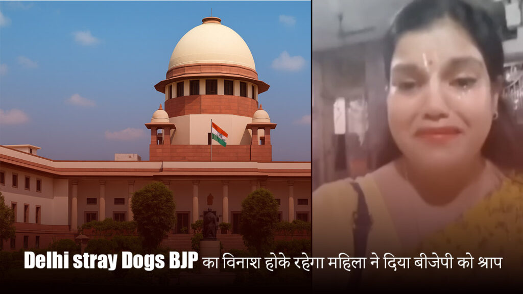 दिल्ली की सड़कों पर स्ट्रे डॉग्स का झुंड"