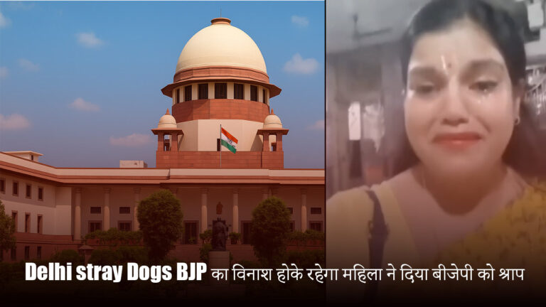 दिल्ली की सड़कों पर स्ट्रे डॉग्स का झुंड"