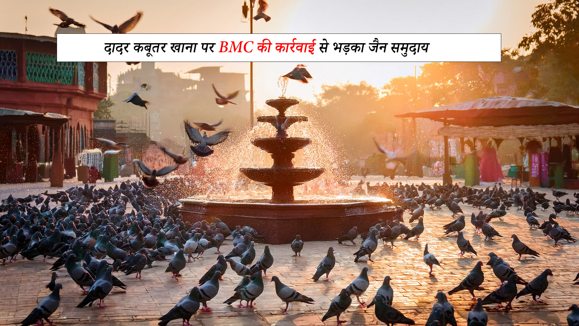मुंबई: दादर कबूतरखाना पर आखिरकार प्लास्टिक शीट, सेहत के लिए ज़रूरी कदम BMC की कार्रवाई