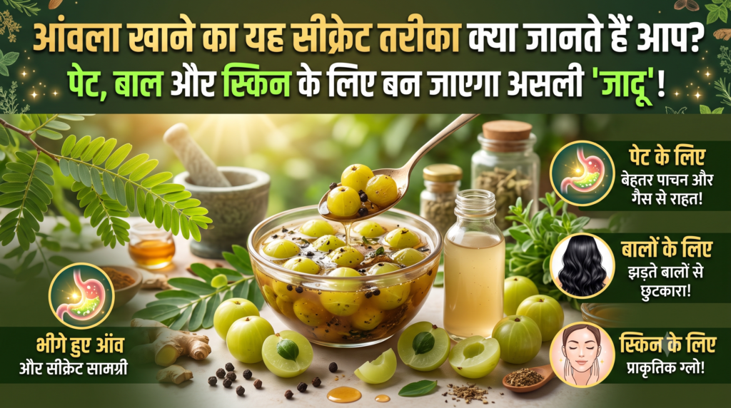 ताजे हरे आंवले के फल, बालों, पेट और त्वचा की सेहत के लिए आंवला खाने के फायदे Health Tips