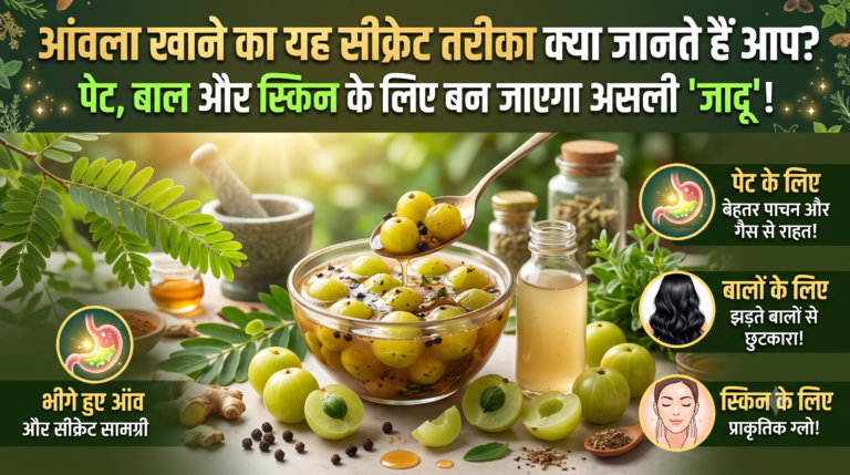 ताजे हरे आंवले के फल, बालों, पेट और त्वचा की सेहत के लिए आंवला खाने के फायदे Health Tips